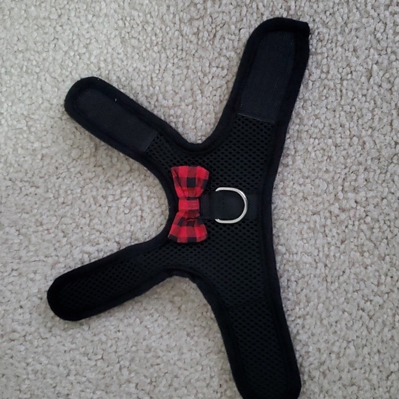 Harness - Picture 5 of 6